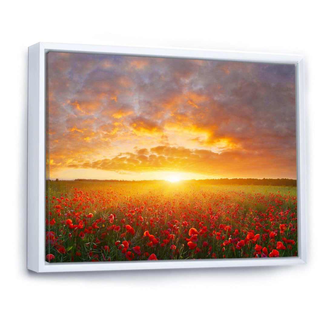 Poppy Field under Bright Sunset