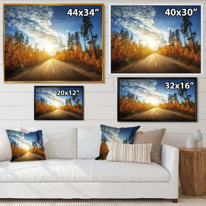 Road in Fall Forest Panorama