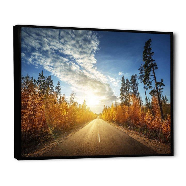 Road in Fall Forest Panorama