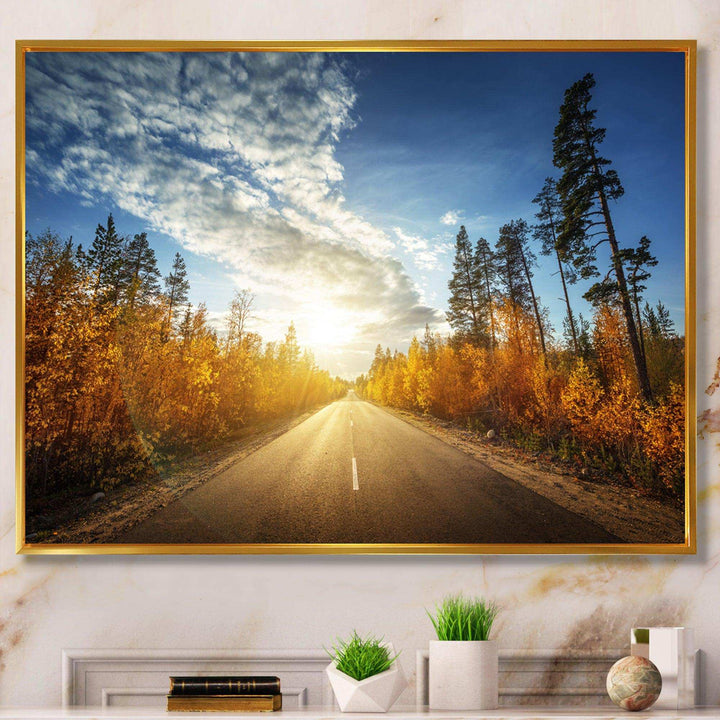 Road in Fall Forest Panorama
