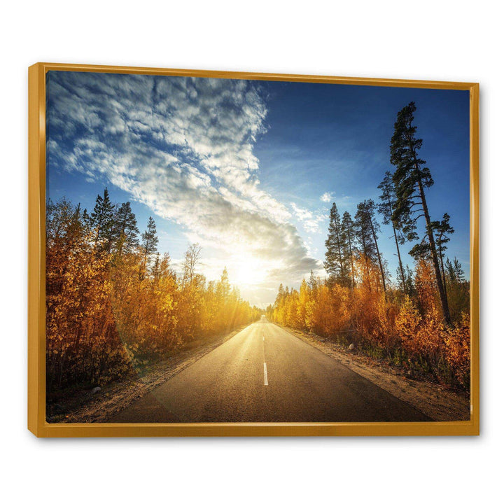Road in Fall Forest Panorama