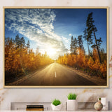 Road in Fall Forest Panorama