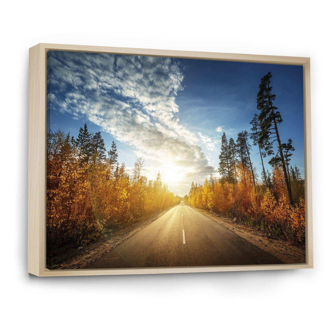 Road in Fall Forest Panorama