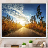 Road in Fall Forest Panorama