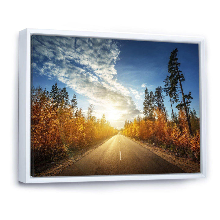 Road in Fall Forest Panorama