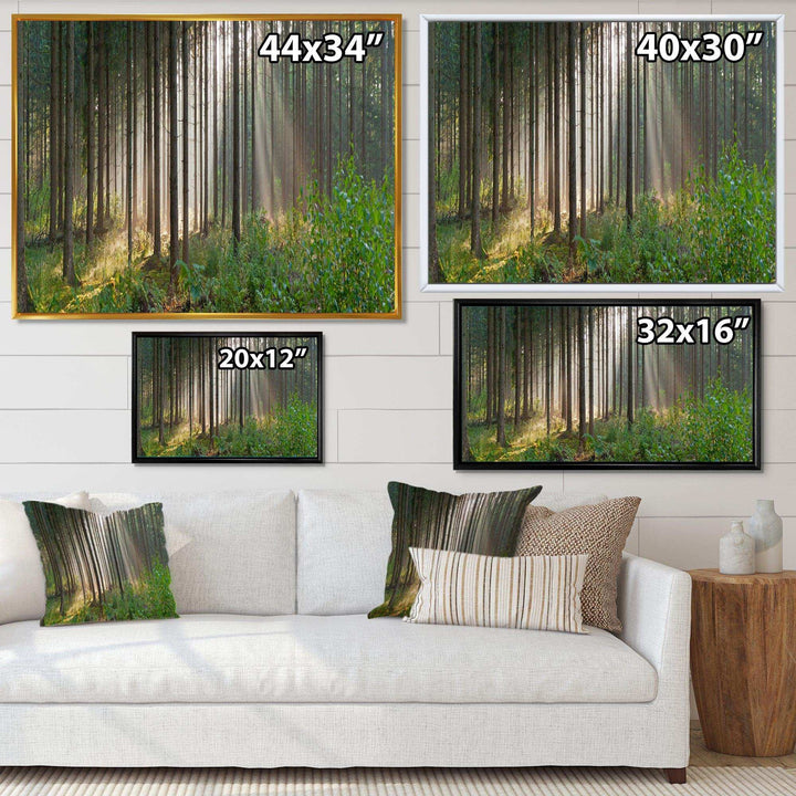Green Forest in Mist Panorama