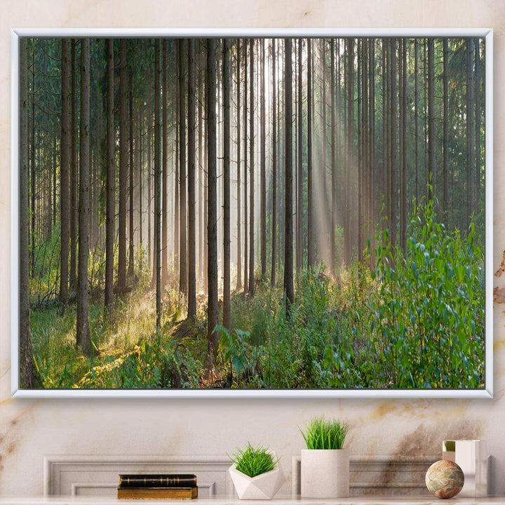 Green Forest in Mist Panorama