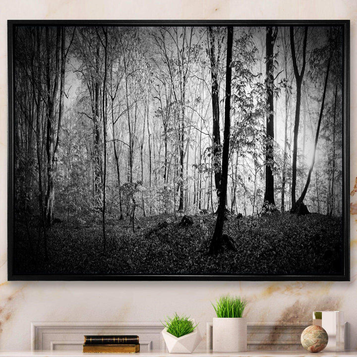 Beautiful Forest Morning Panorama