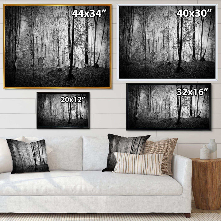 Beautiful Forest Morning Panorama
