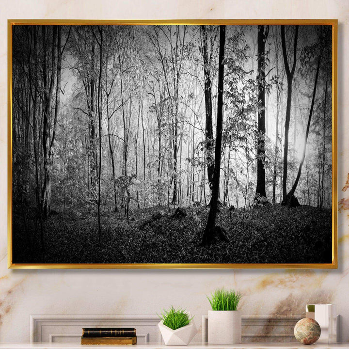 Beautiful Forest Morning Panorama