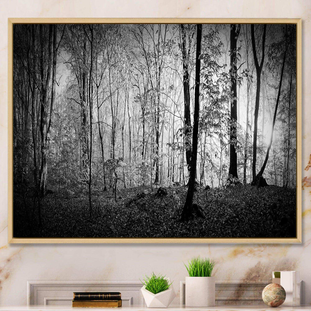 Beautiful Forest Morning Panorama
