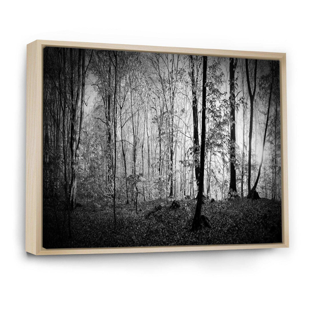 Beautiful Forest Morning Panorama