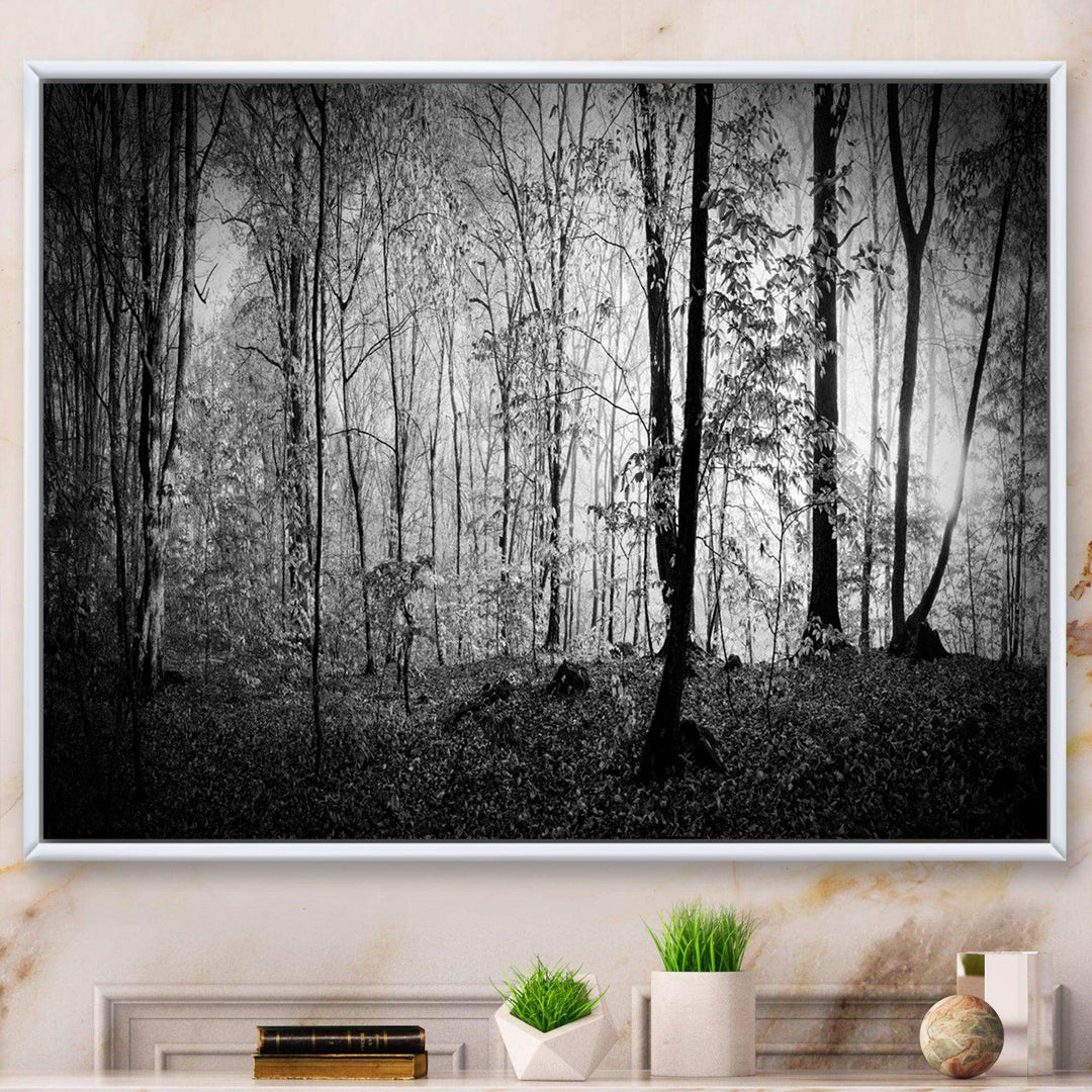 Beautiful Forest Morning Panorama