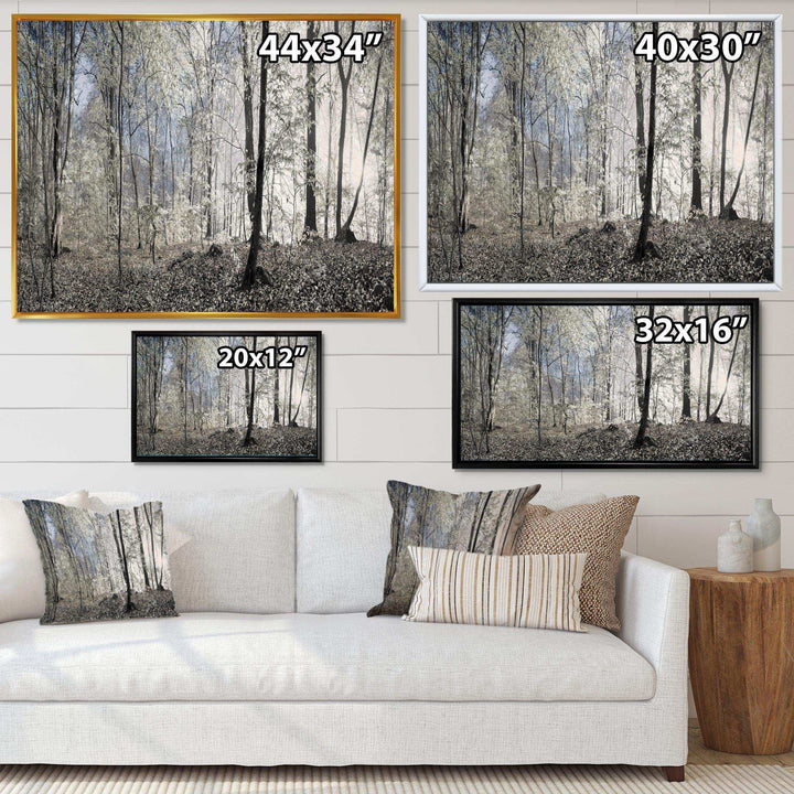 Dark Morning in Forest Panorama