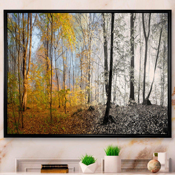 Yellow Morning in Forest Panorama