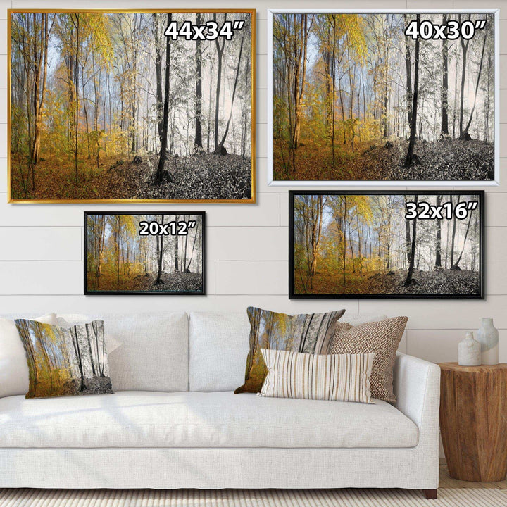 Yellow Morning in Forest Panorama