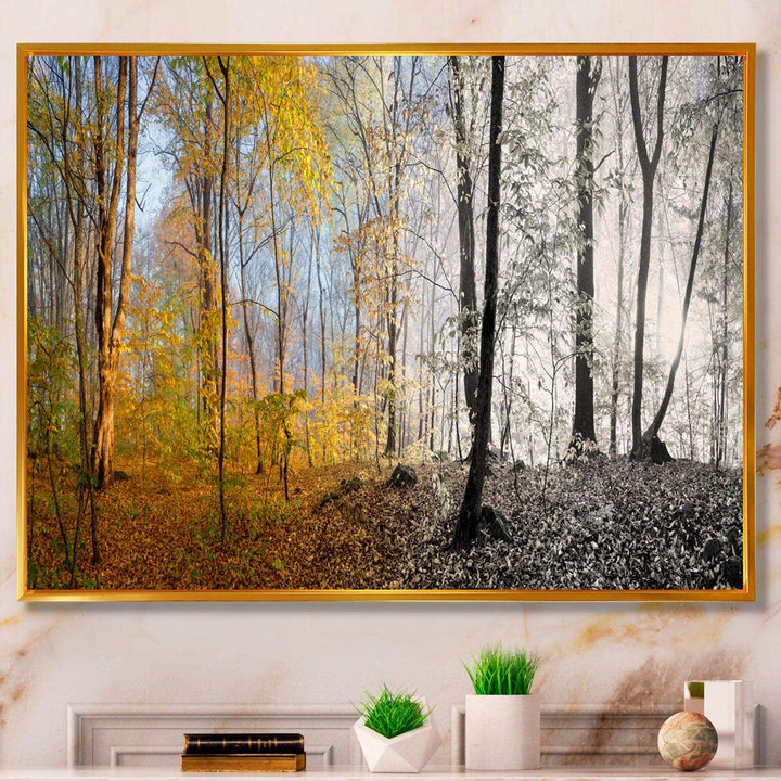 Yellow Morning in Forest Panorama