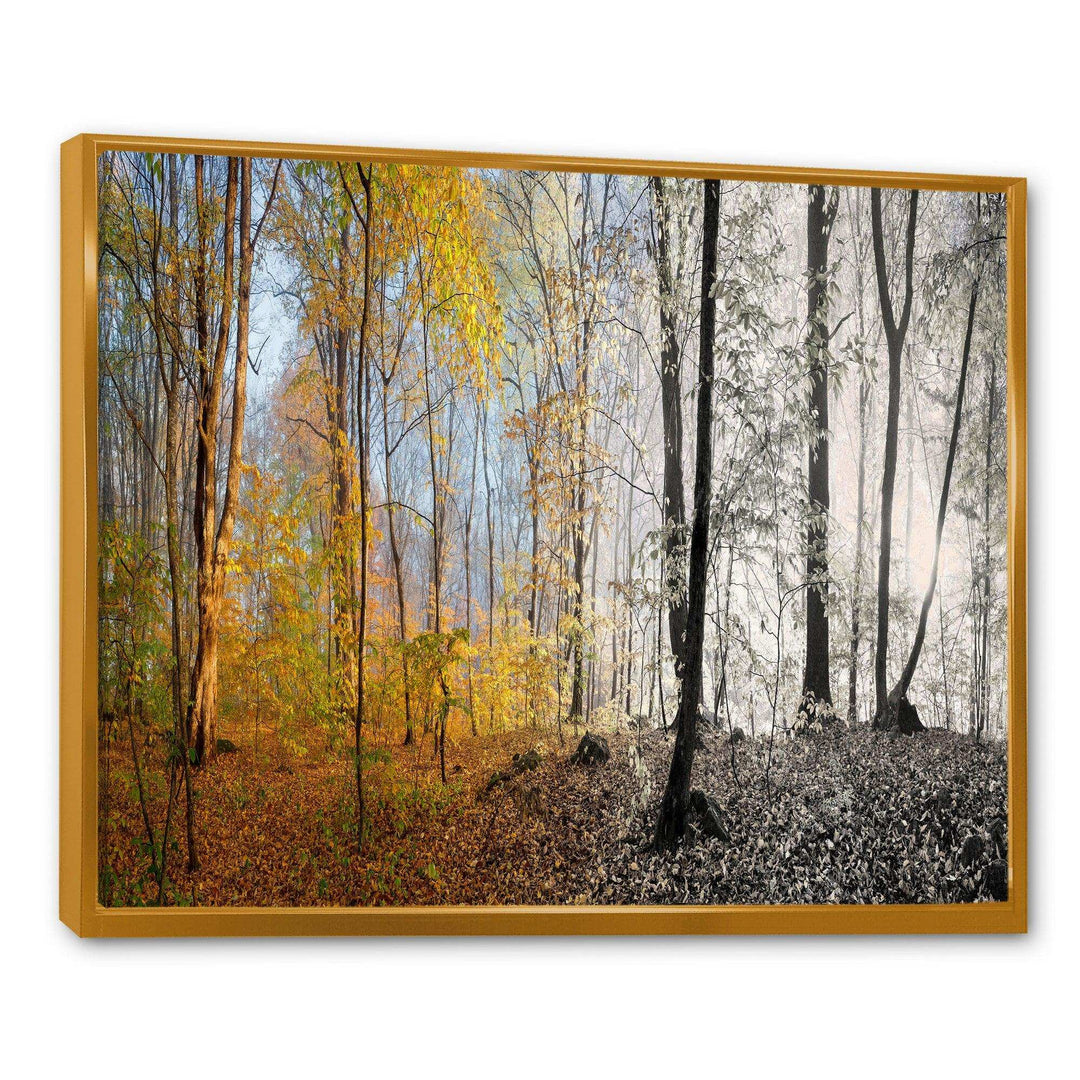 Yellow Morning in Forest Panorama