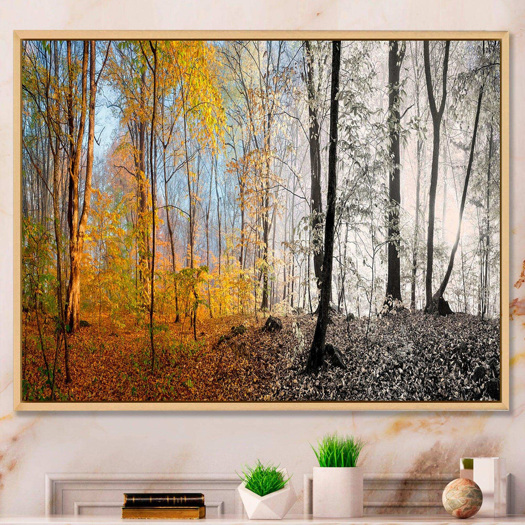 Yellow Morning in Forest Panorama