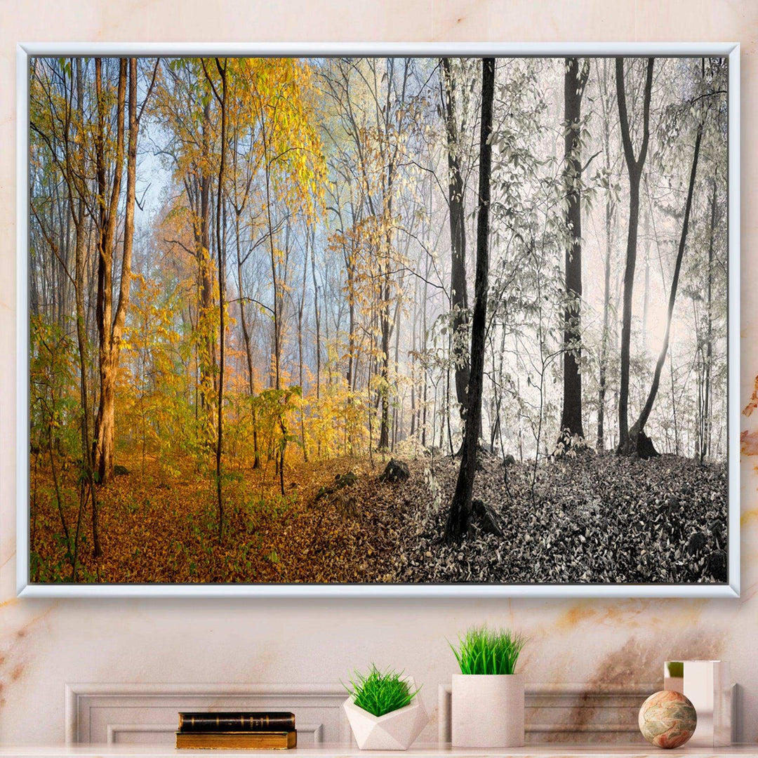 Yellow Morning in Forest Panorama