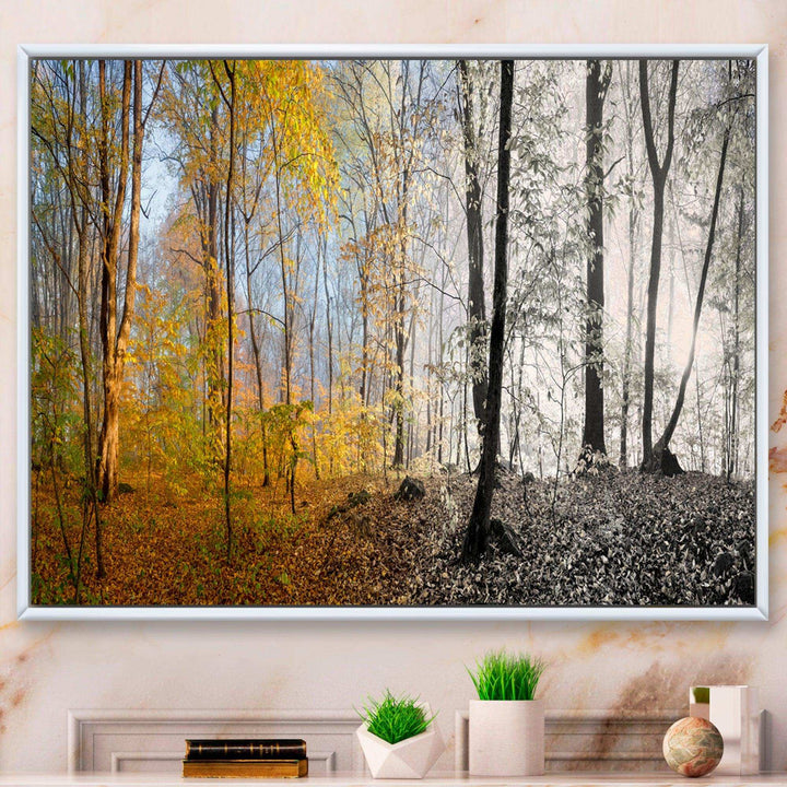 Yellow Morning in Forest Panorama