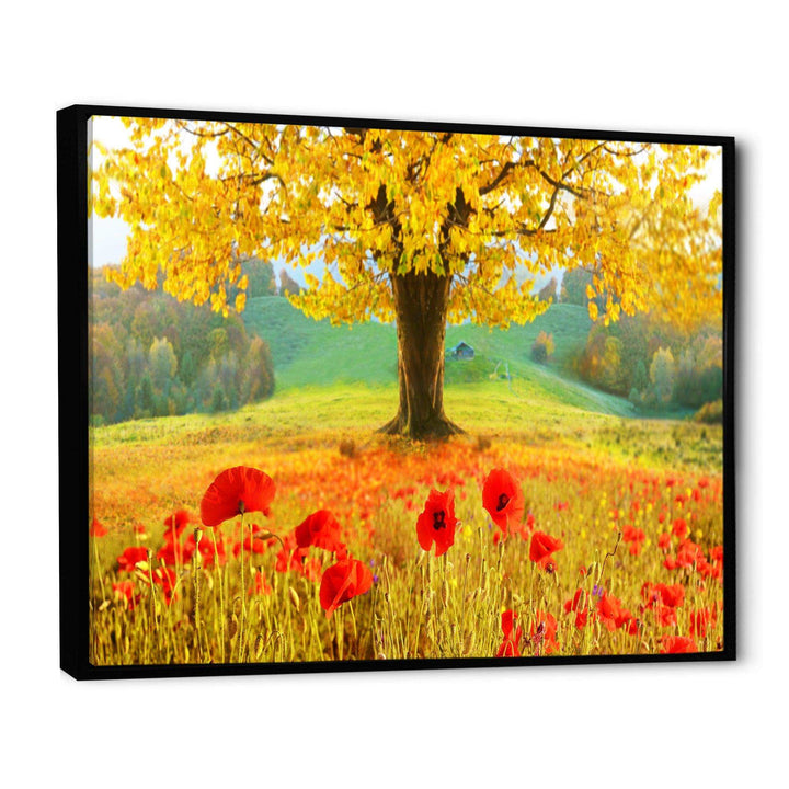 Beautiful Autumn Yellow Tree
