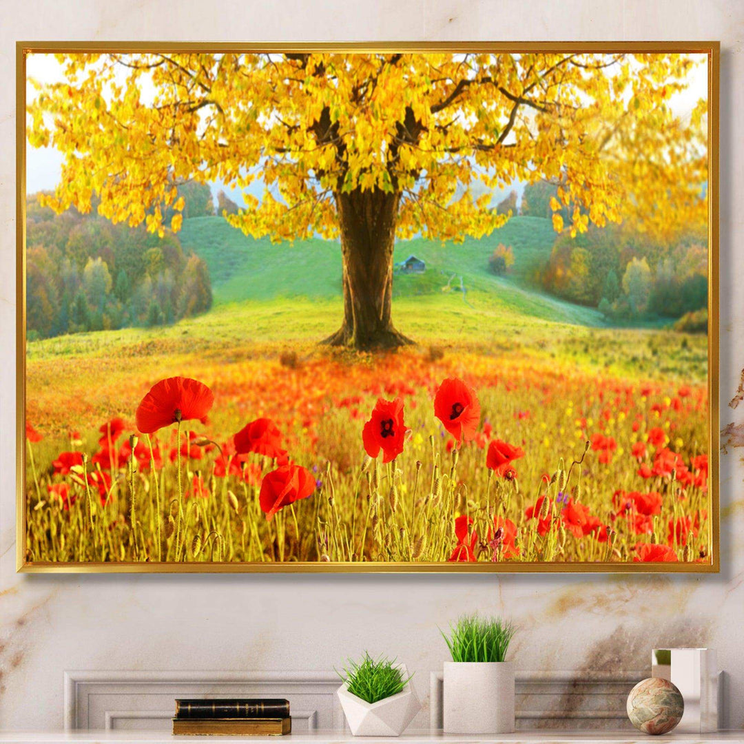 Beautiful Autumn Yellow Tree