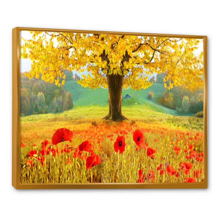 Beautiful Autumn Yellow Tree