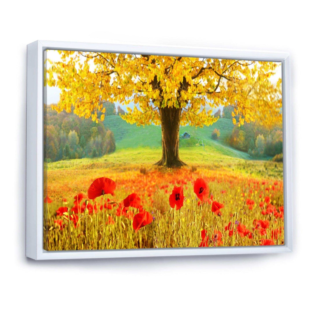 Beautiful Autumn Yellow Tree