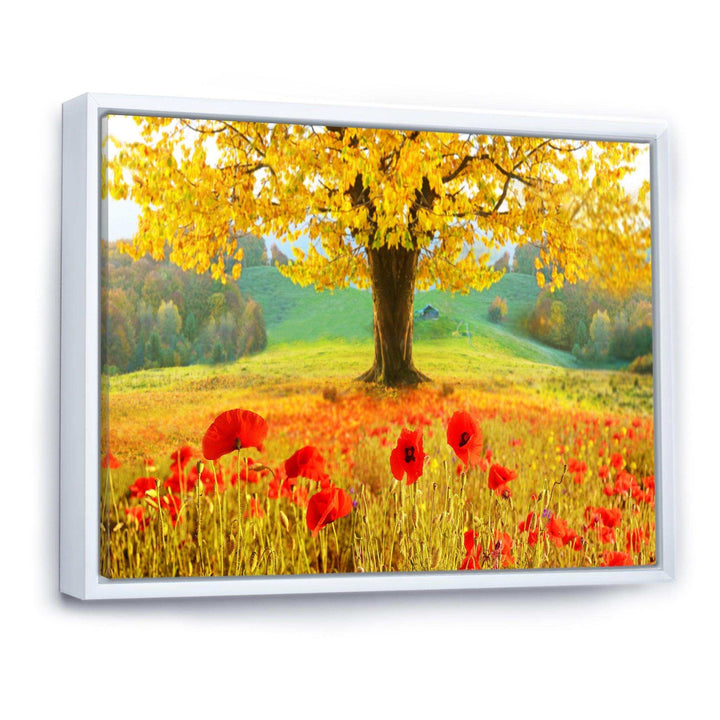 Beautiful Autumn Yellow Tree