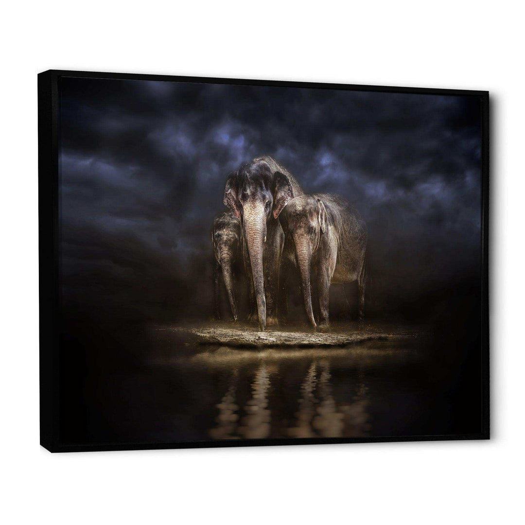 Elephants Watering in the River