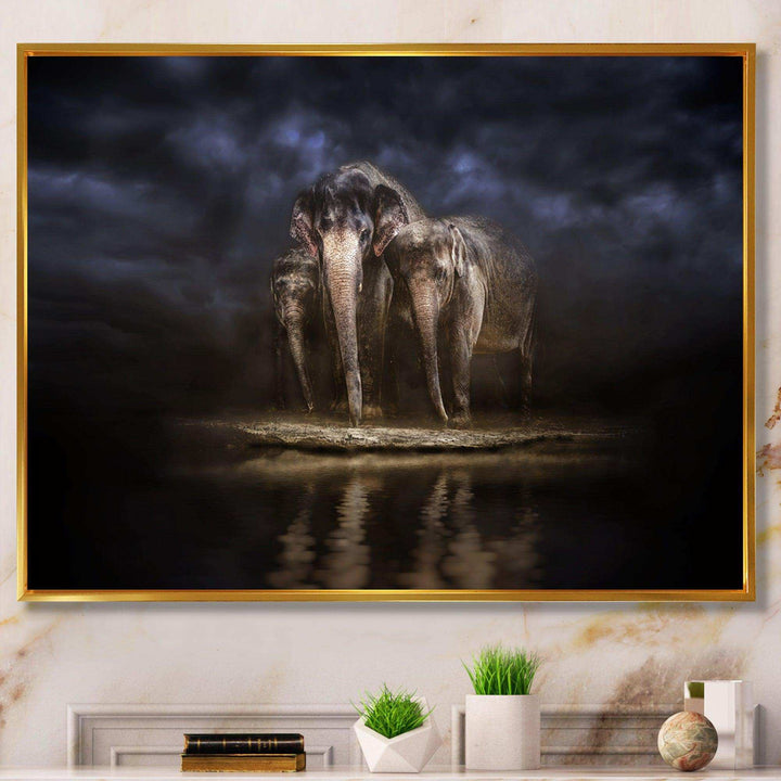 Elephants Watering in the River