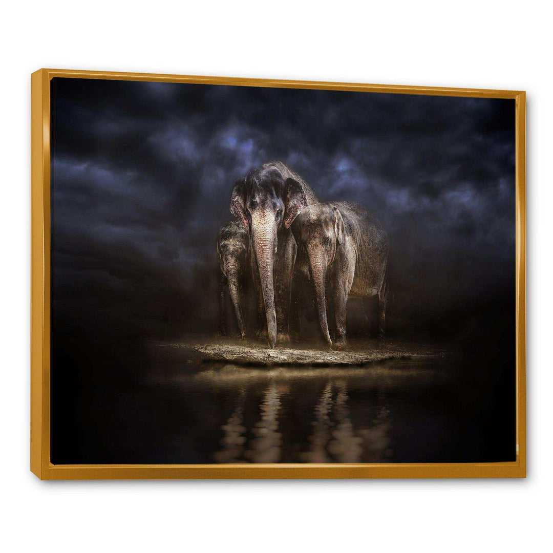Elephants Watering in the River