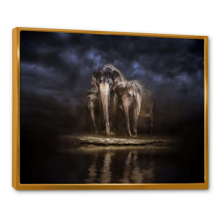 Elephants Watering in the River