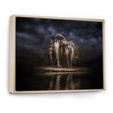Elephants Watering in the River