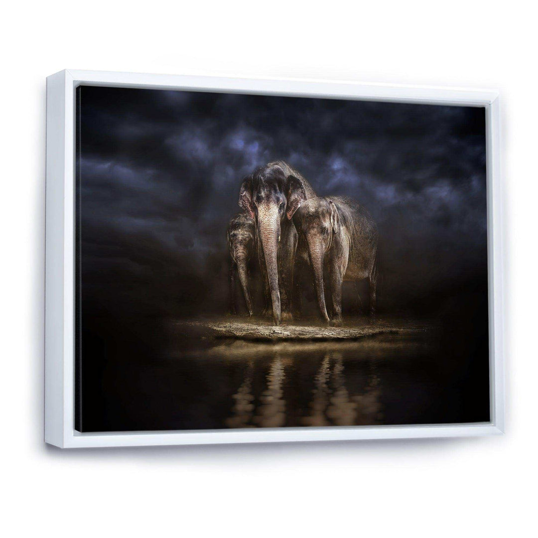 Elephants Watering in the River