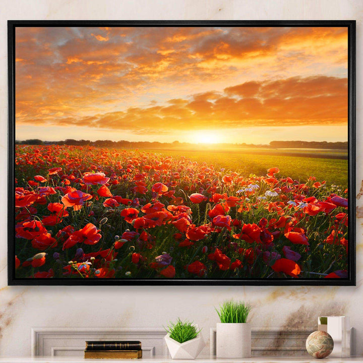 Beautiful Poppy Field at Sunset - Landscapes Wall Art Prints