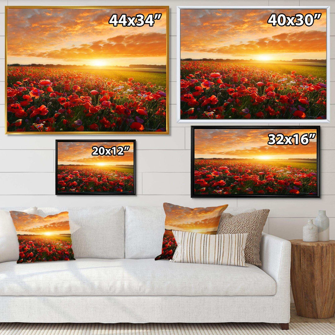 Beautiful Poppy Field at Sunset - Landscapes Wall Art Prints