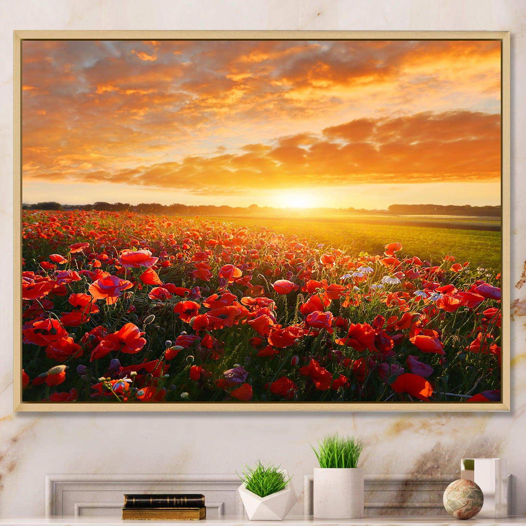 Beautiful Poppy Field at Sunset - Landscapes Wall Art Prints