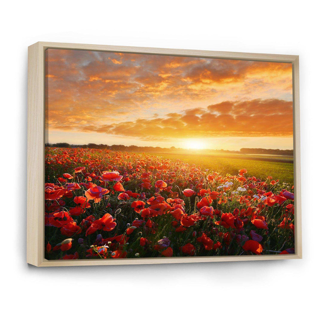 Beautiful Poppy Field at Sunset - Landscapes Wall Art Prints
