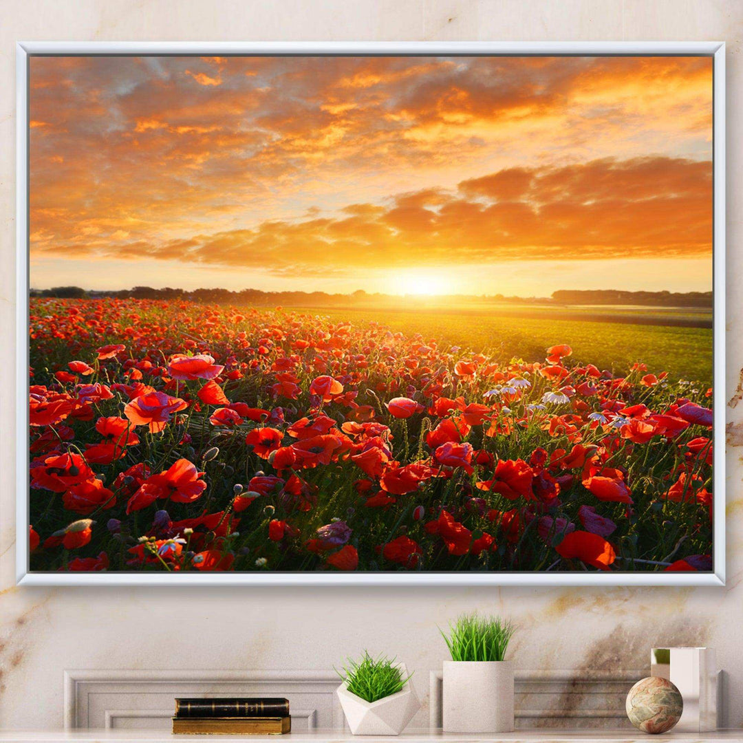 Beautiful Poppy Field at Sunset - Landscapes Wall Art Prints