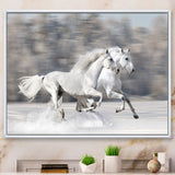 Two White Horse
