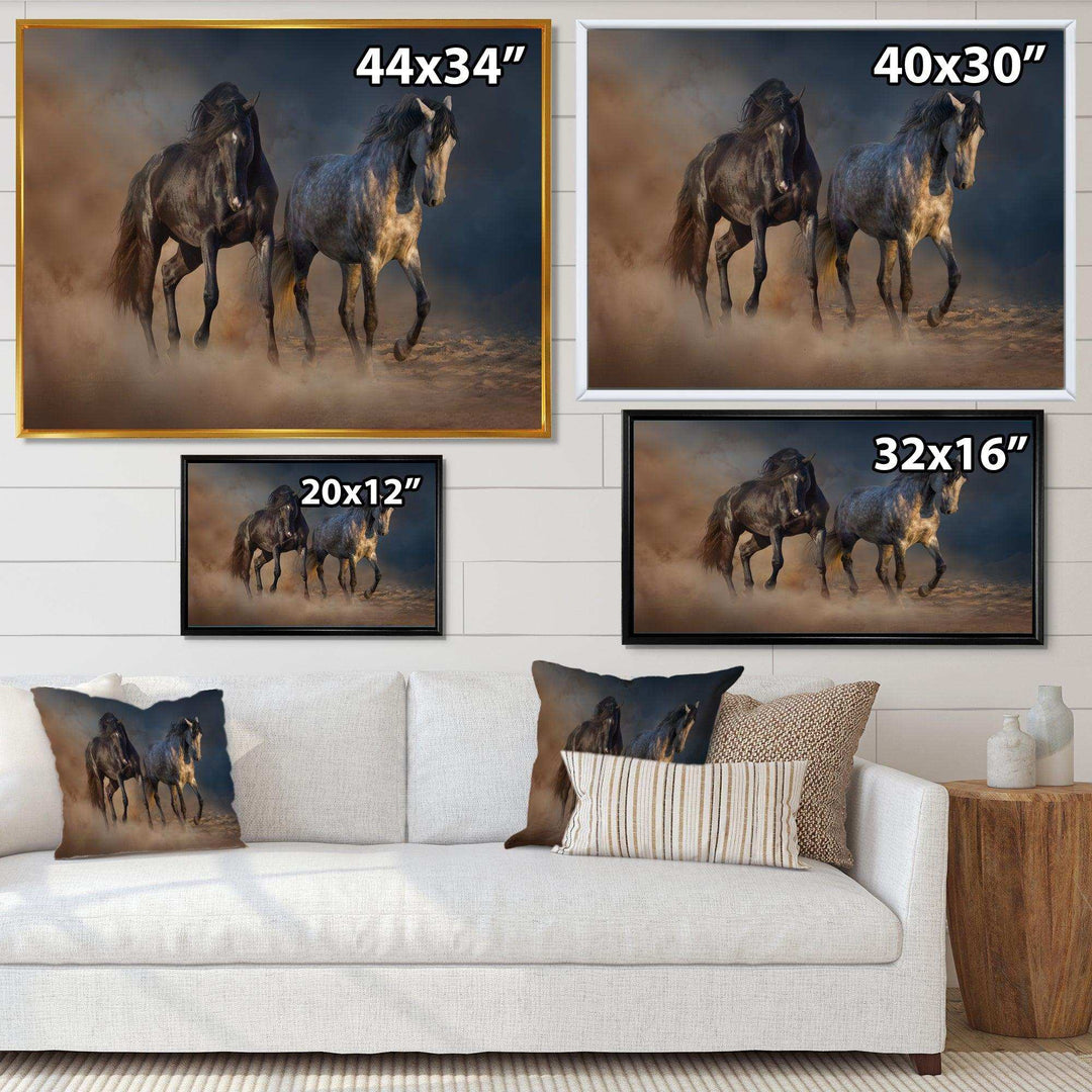 Black and white horse run