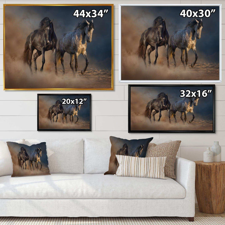 Black and white horse run