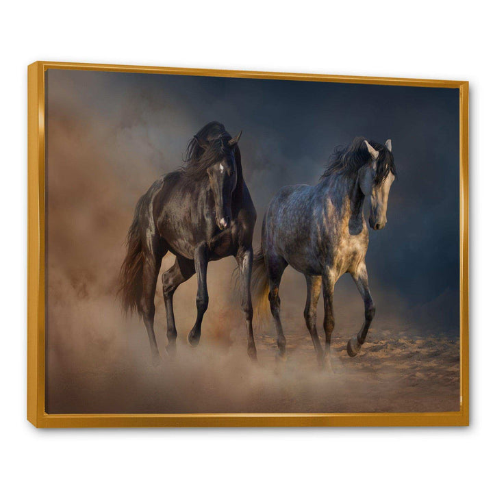 Black and white horse run