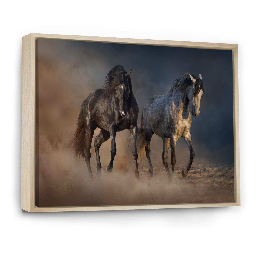 Black and white horse run