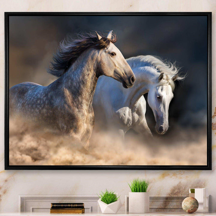 Horses run in dust
