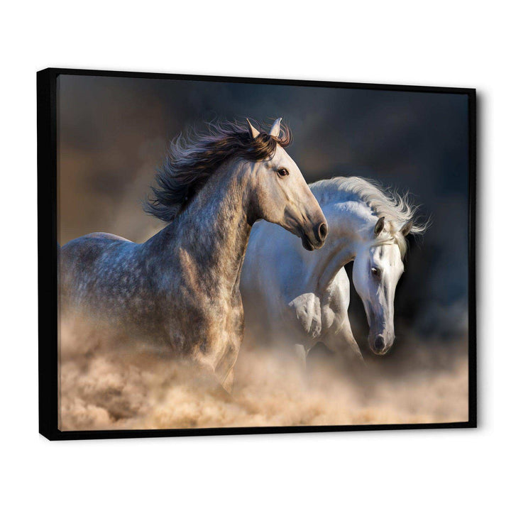 Horses run in dust