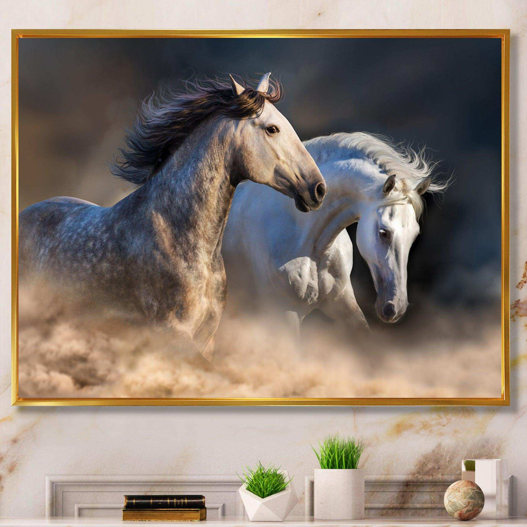 Horses run in dust