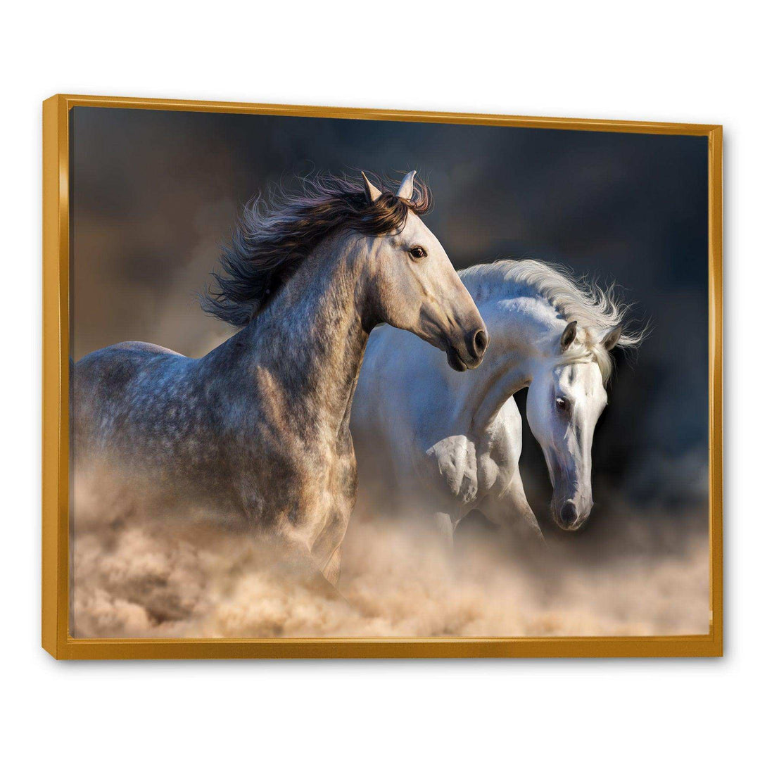 Horses run in dust